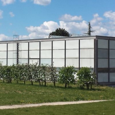 Rimann AG à Arch (BE).